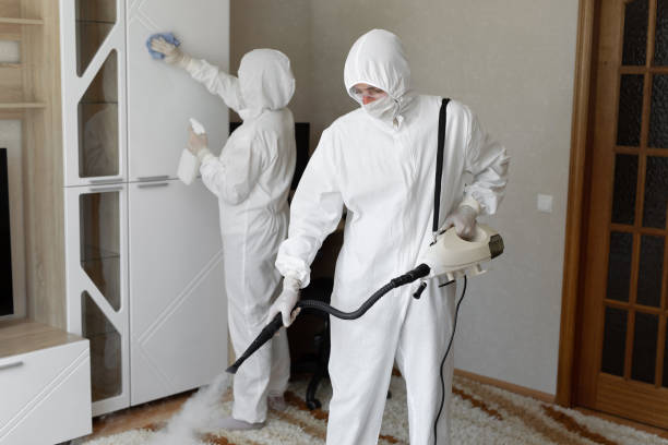 Affordable Sewage Cleanup solutions in Saint Paris, OH